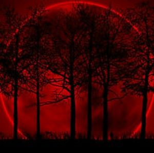 Meet your Posher, Feenix